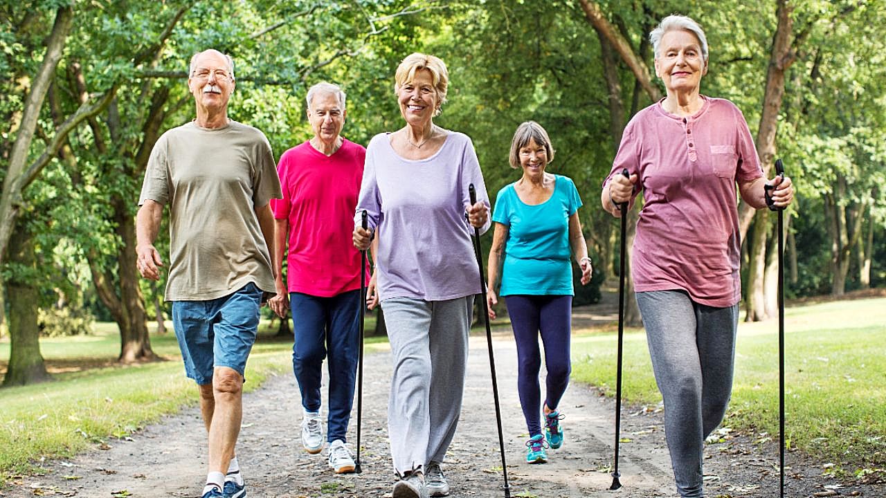 Engaging Activities for Seniors - Promoting Wellness and Social Connection